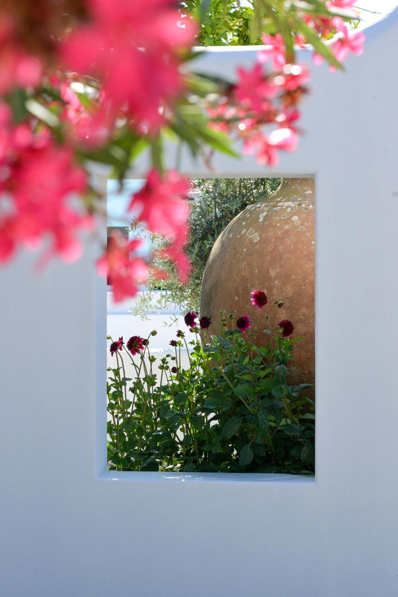 The Green House Alentejo Vila Nova da Baronia Extérieur photo